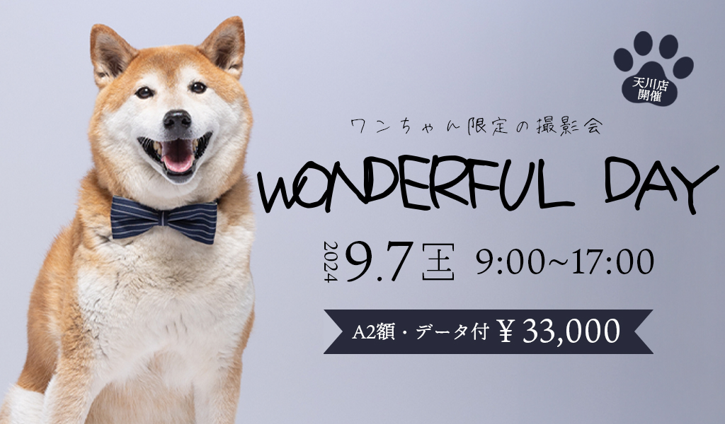 Wonderful Day ～犬の日～