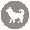 p-21